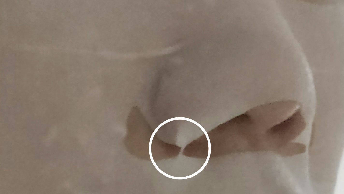 ルルルン オーラブライトマスク W/ルルルン/シートマスク・パックを使ったクチコミ(5枚目)