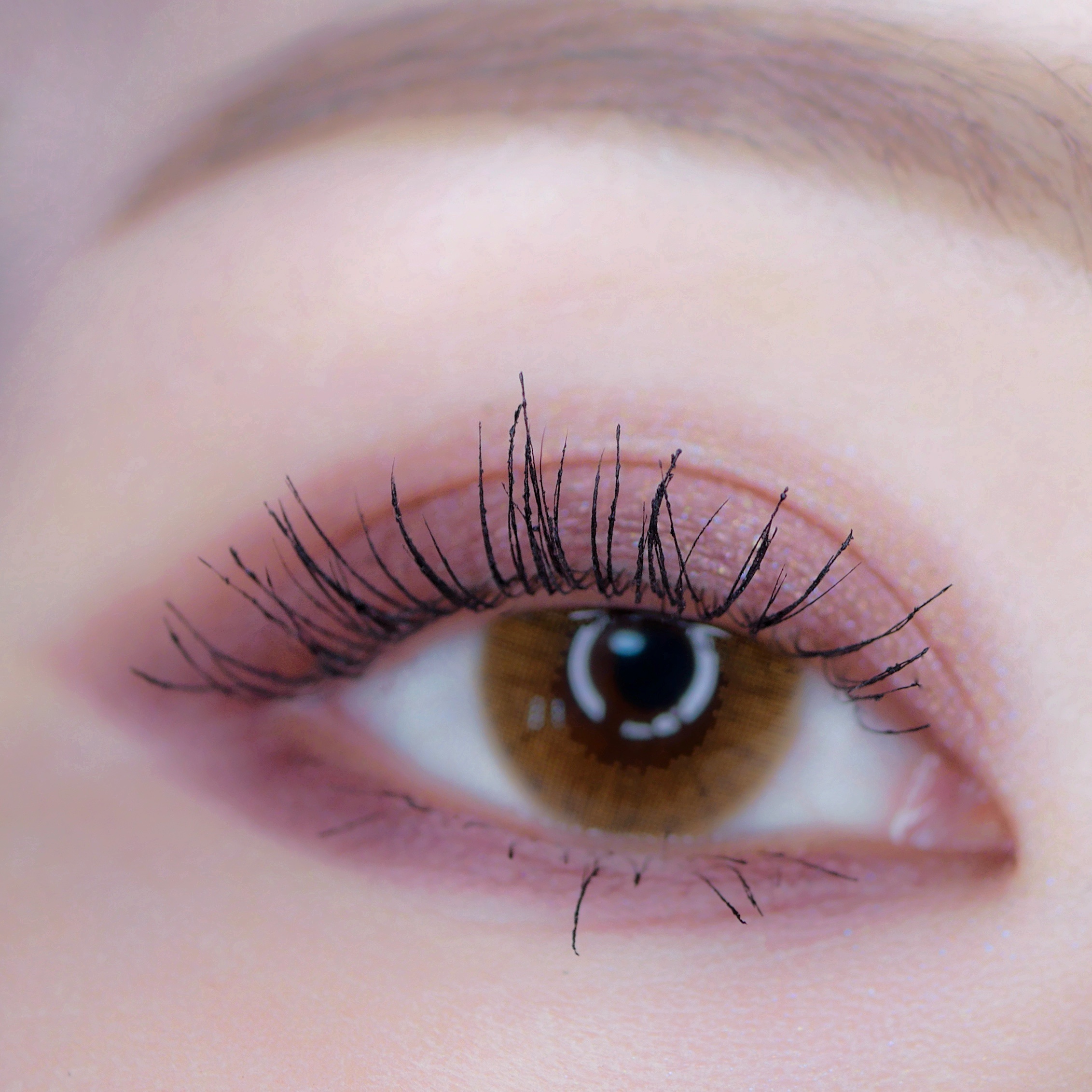 ケイト ラッシュバースト/KATE/マスカラを使ったクチコミ（2枚目）