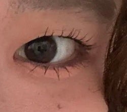 ダブル ムード アイズ/Visée/アイシャドウパレットを使ったクチコミ(1枚目)