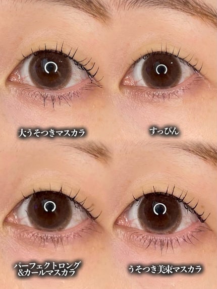 ピメル うそつきマスカラ/pdc/マスカラを使ったクチコミ(3枚目)