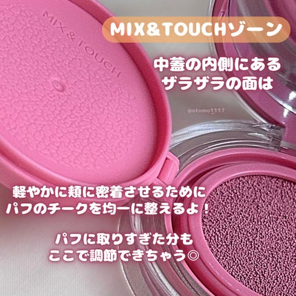 アーティストクッションブラッシュ/JUNG SAEM MOOL/リキッドチークを使ったクチコミ(4枚目)