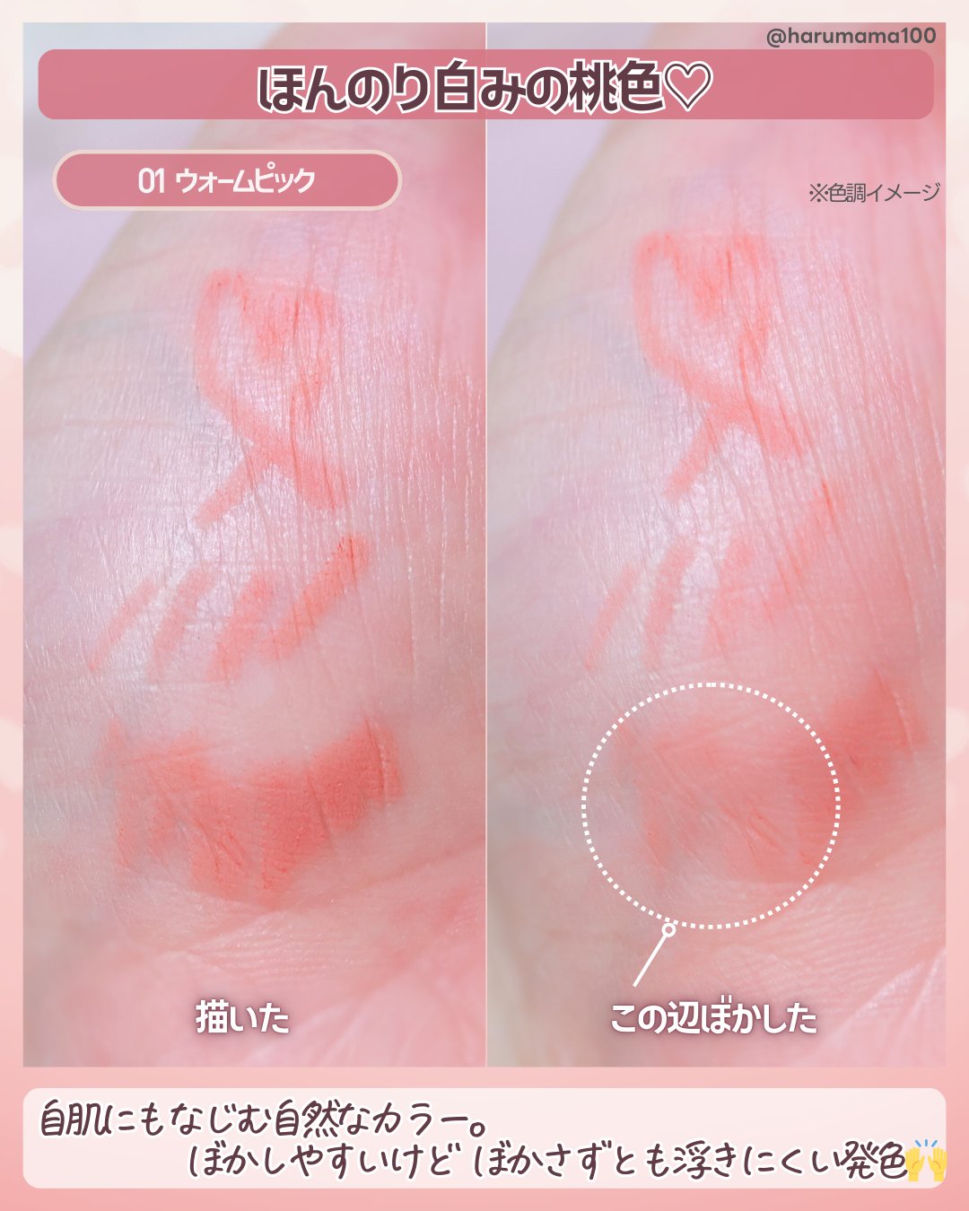 LEMIU リップディティーラーのクチコミ「【なめらかシルキードロー♡桃色リップライナー】
───────────────
LEMIU
リ.....」（3枚目）