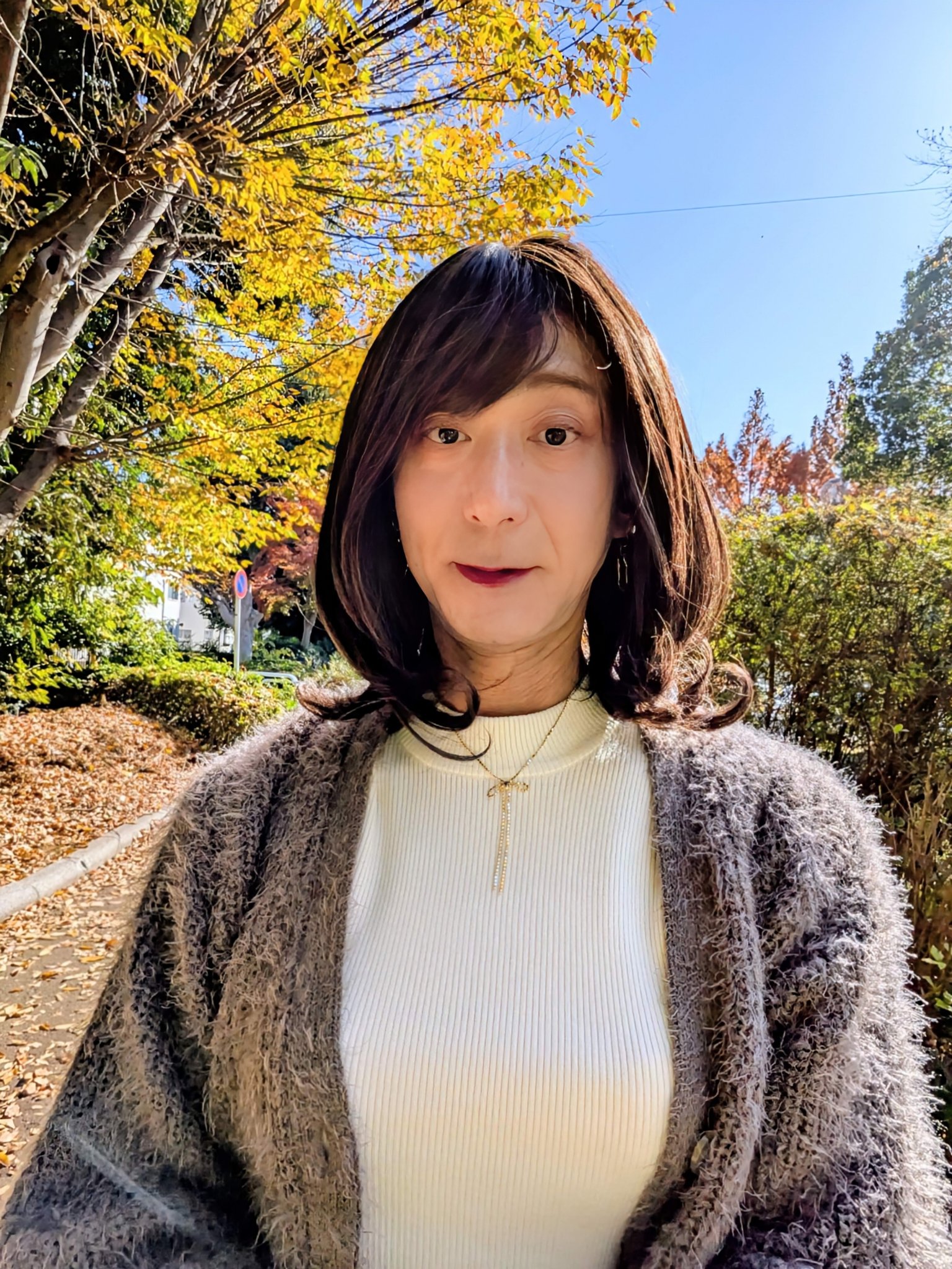 チークブラッシュ/CEZANNE/パウダーチークを使ったクチコミ（2枚目）