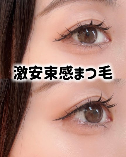 つけまつ毛/SHEIN/つけまつげを使ったクチコミ(1枚目)