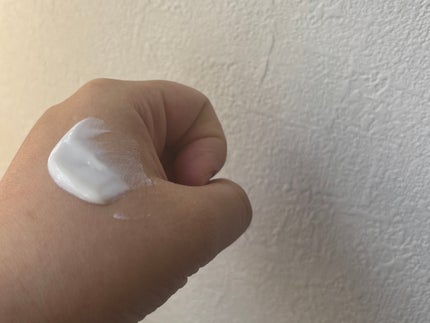 デイスキンコンフォート/excel/フェイスクリームを使ったクチコミ(2枚目)