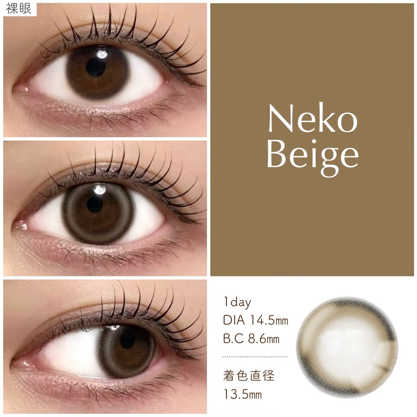 ANGÉLIQUE 1day/ANGÉLIQUE/ワンデー(1DAY)カラコンを使ったクチコミ(2枚目)