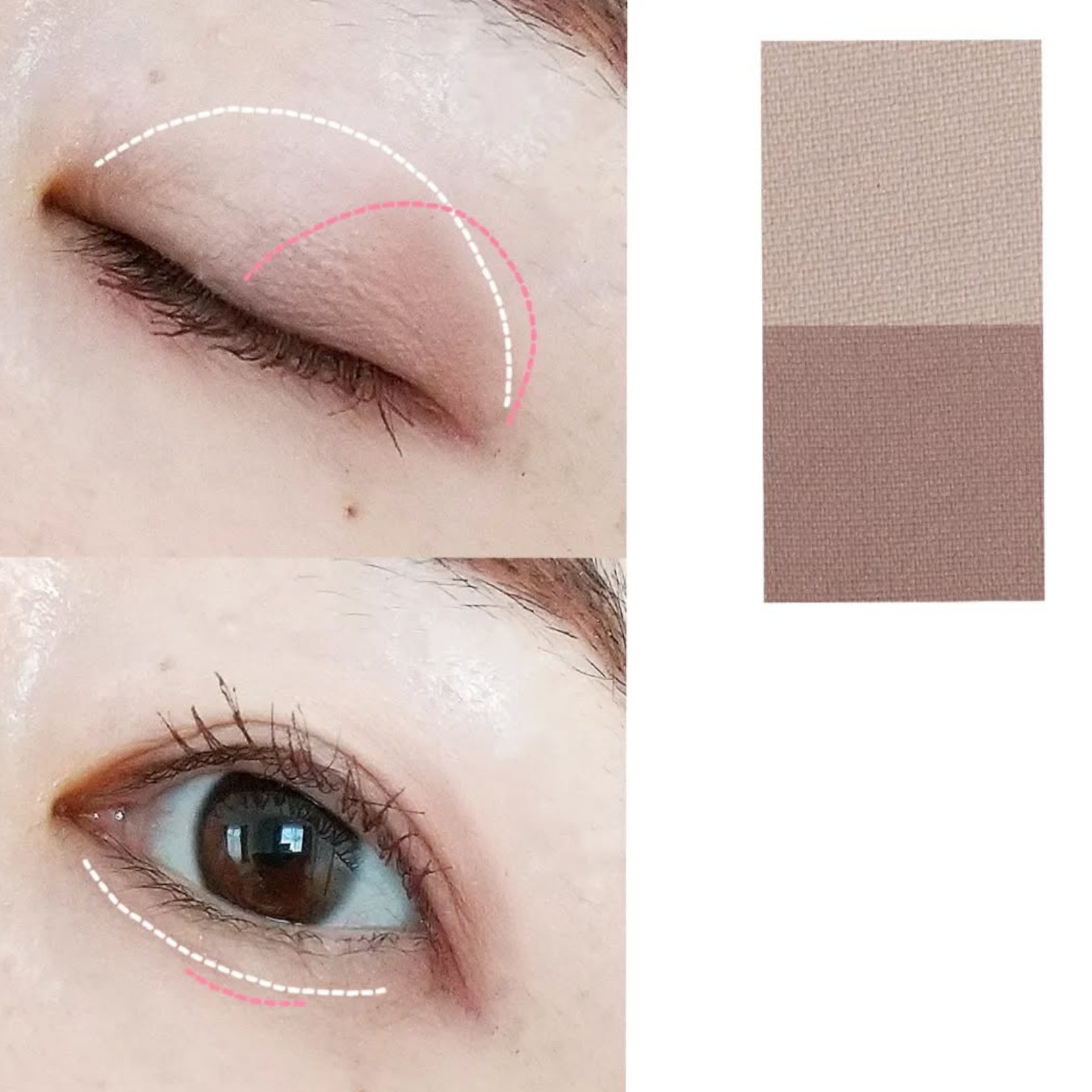 STEP BASIC EYESHADOW ROSEBROWN/Ameli/単色アイシャドウを使ったクチコミ（3枚目）