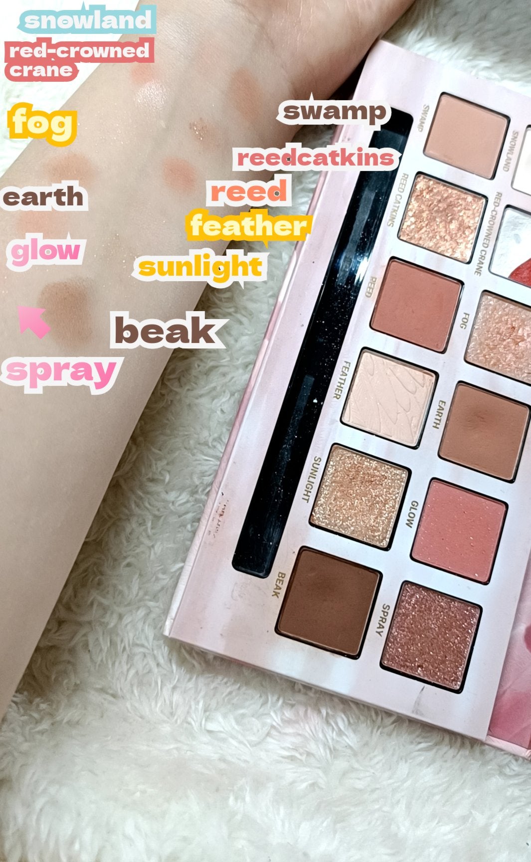 エクスプローラ12色 動物アイシャドウパレット/PERFECT DIARY/アイシャドウパレットを使ったクチコミ(2枚目)