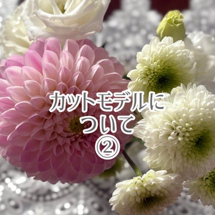 ã䜿ã£ãã¯ãã³ãïŒ1æç®ïŒ