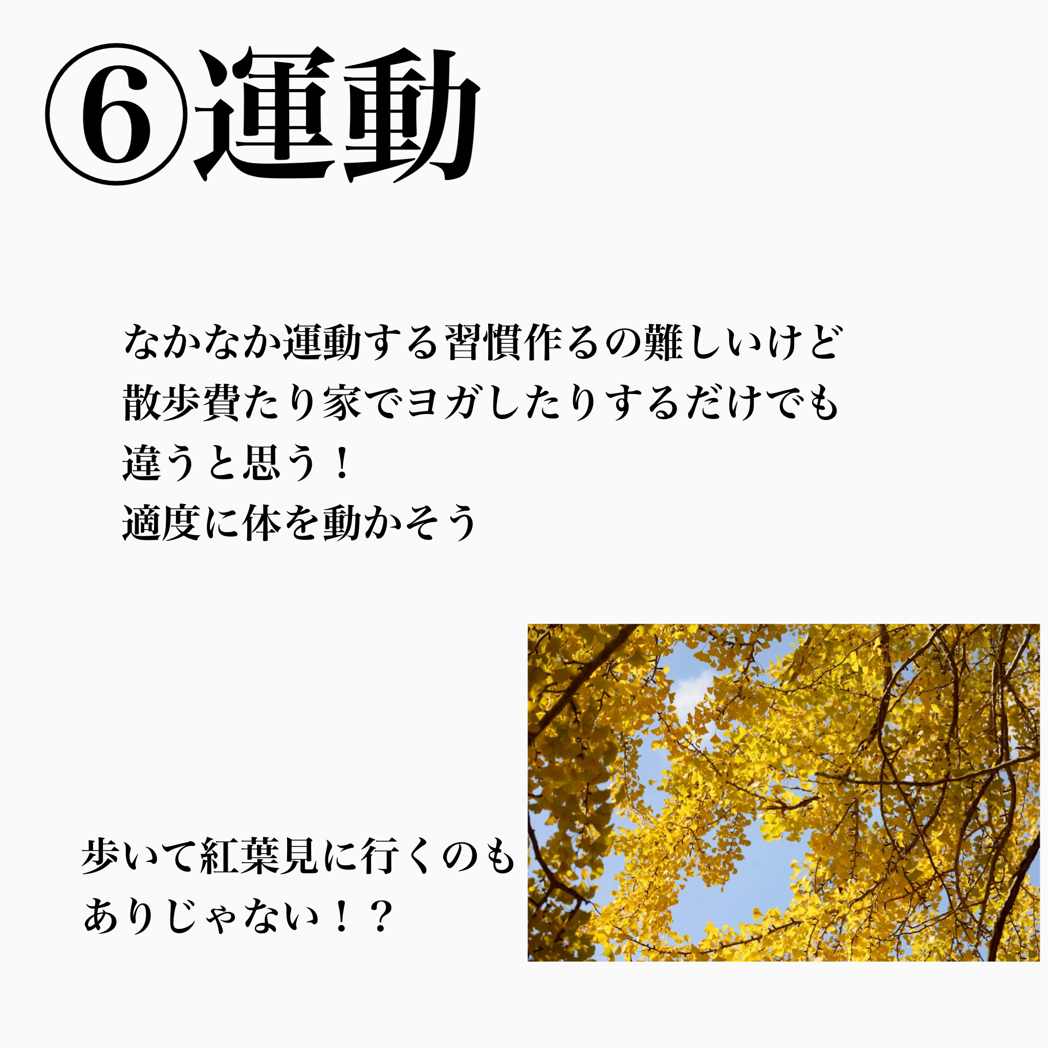 プティパレットアイズ/キャンメイク/パウダーアイシャドウを使ったクチコミ（2枚目）