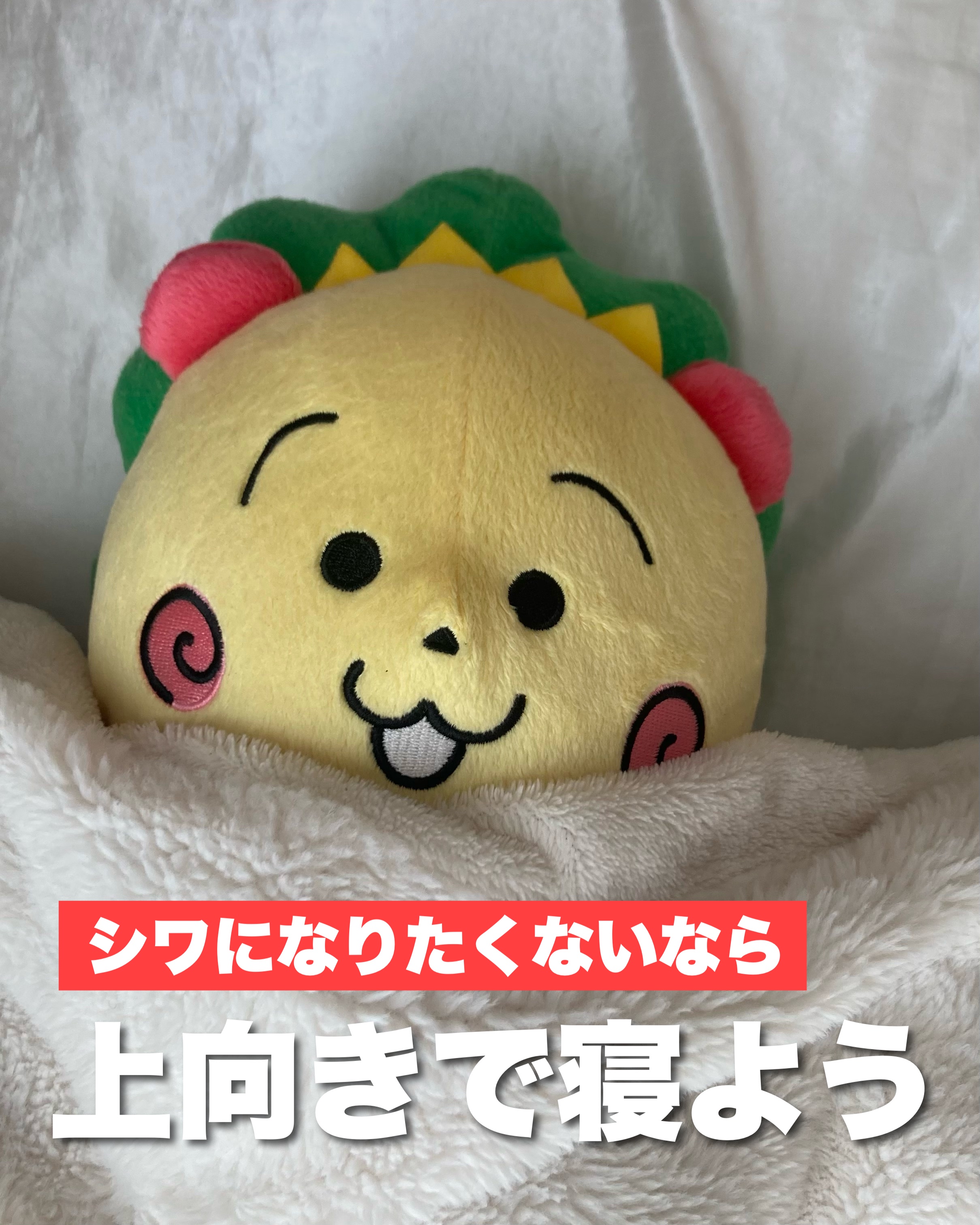 寝る方法で将来の【たるみ方】が変わる！？


たるみやシワに気をつけるなら絶対【仰向け】で寝る習慣をつけて！
左右非対称な老化や、フェイスラインを防げるかもしれません。

追加で言うと、枕の高さも注意。
あんまり高いと首に皺ができちゃう。
