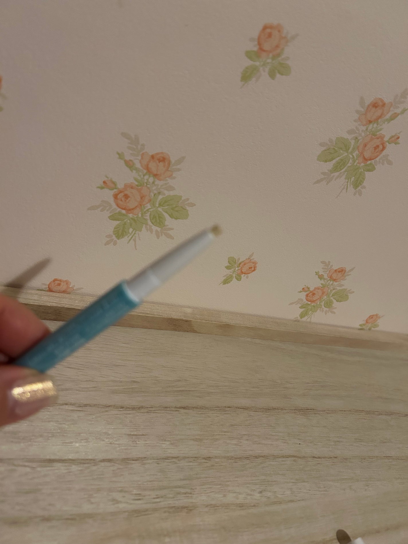 リップバランスチェンジ /プロフェイカー/リップライナーを使ったクチコミ(5枚目)