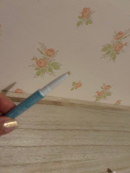 リップバランスチェンジ /プロフェイカー/リップライナーを使ったクチコミ(5枚目)