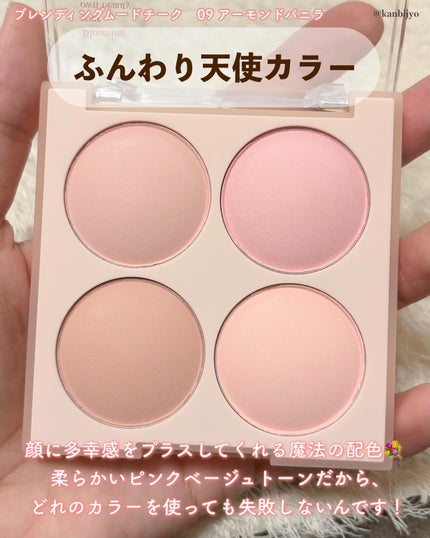 シャドウパレット/dasique/アイシャドウパレットを使ったクチコミ(8枚目)