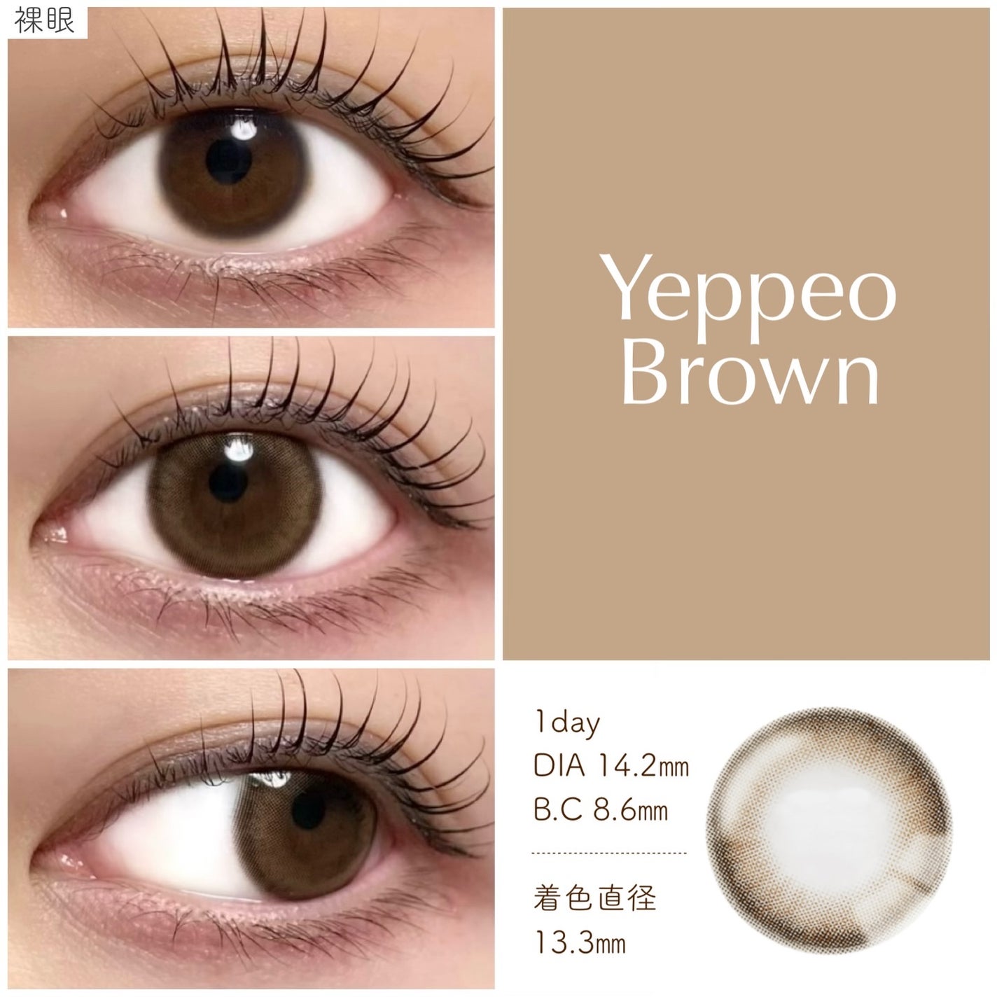 ANGÉLIQUE 1day/ANGÉLIQUE/ワンデー(1DAY)カラコンを使ったクチコミ(6枚目)