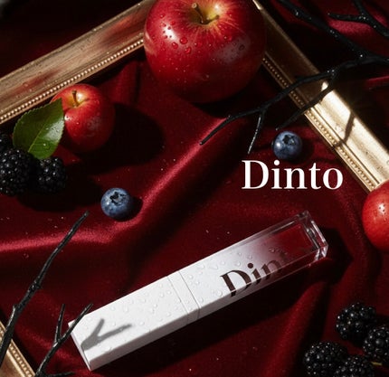 ミラーレスリップオイルグロス/Dinto/リップグロスを使ったクチコミ(1枚目)