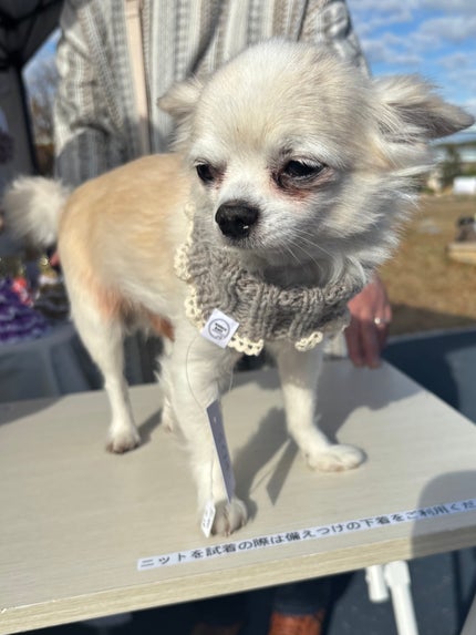 オルフェス BPS ピカチュウ・イーブイ デザイン/ALFACE+/シートマスク・パックを使ったクチコミ(4枚目)