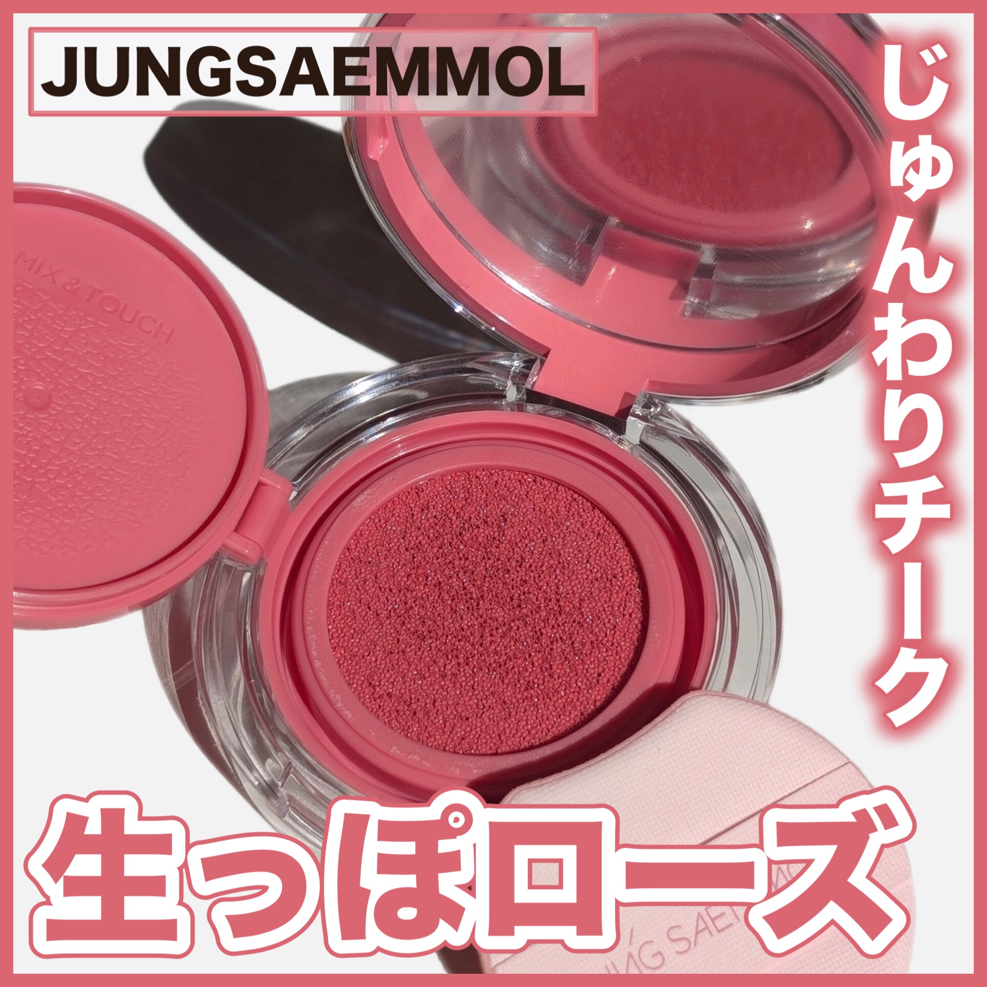 アーティストクッションブラッシュ/JUNG SAEM MOOL/リキッドチークを使ったクチコミ（1枚目）