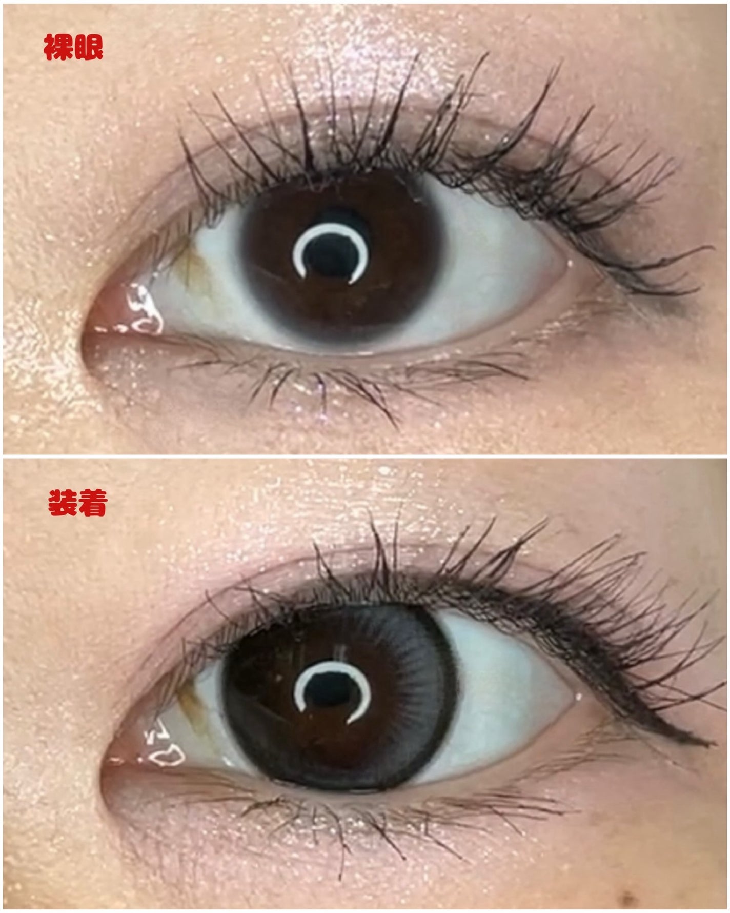 ã®ã©ãð on LIPS ãOLENSã¬ã€ã³ãã©ãã¯BC8.6mmDIA14.2mmçè²çŽ..ãïŒ4æç®ïŒ