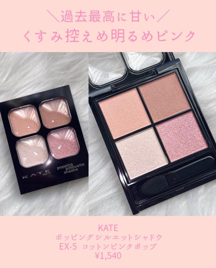 ケイト ポッピングシルエットシャドウ/KATE/アイシャドウパレットを使ったクチコミ(2枚目)