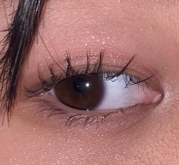 プティパレットアイズ/キャンメイク/パウダーアイシャドウを使ったクチコミ（1枚目）