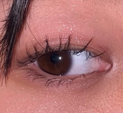 プティパレットアイズ/キャンメイク/パウダーアイシャドウを使ったクチコミ(1枚目)