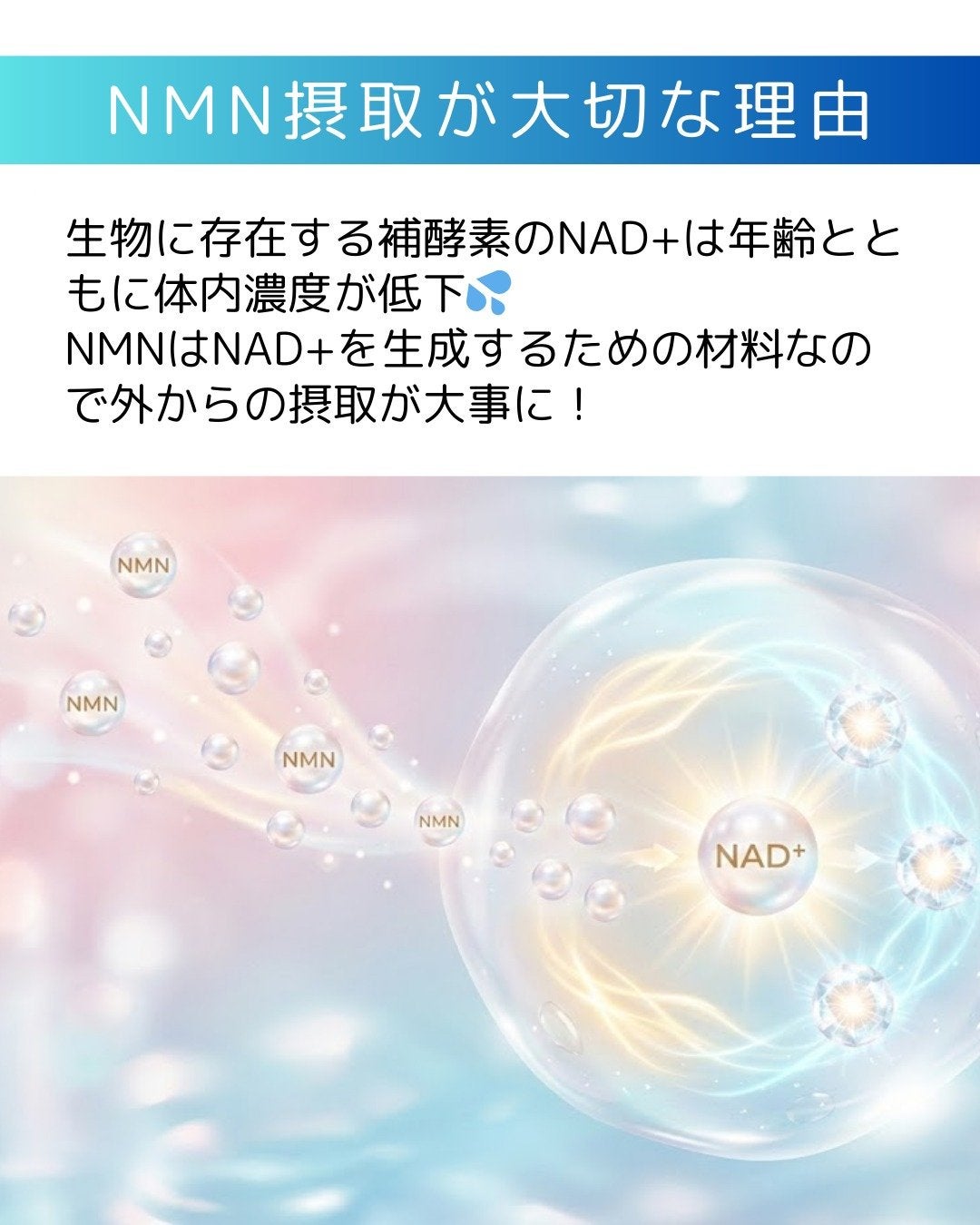 ヨエスター植物性NMNフィトエス2Xフィルム/ESTHER FORMULA/美容サプリメントを使ったクチコミ(4枚目)