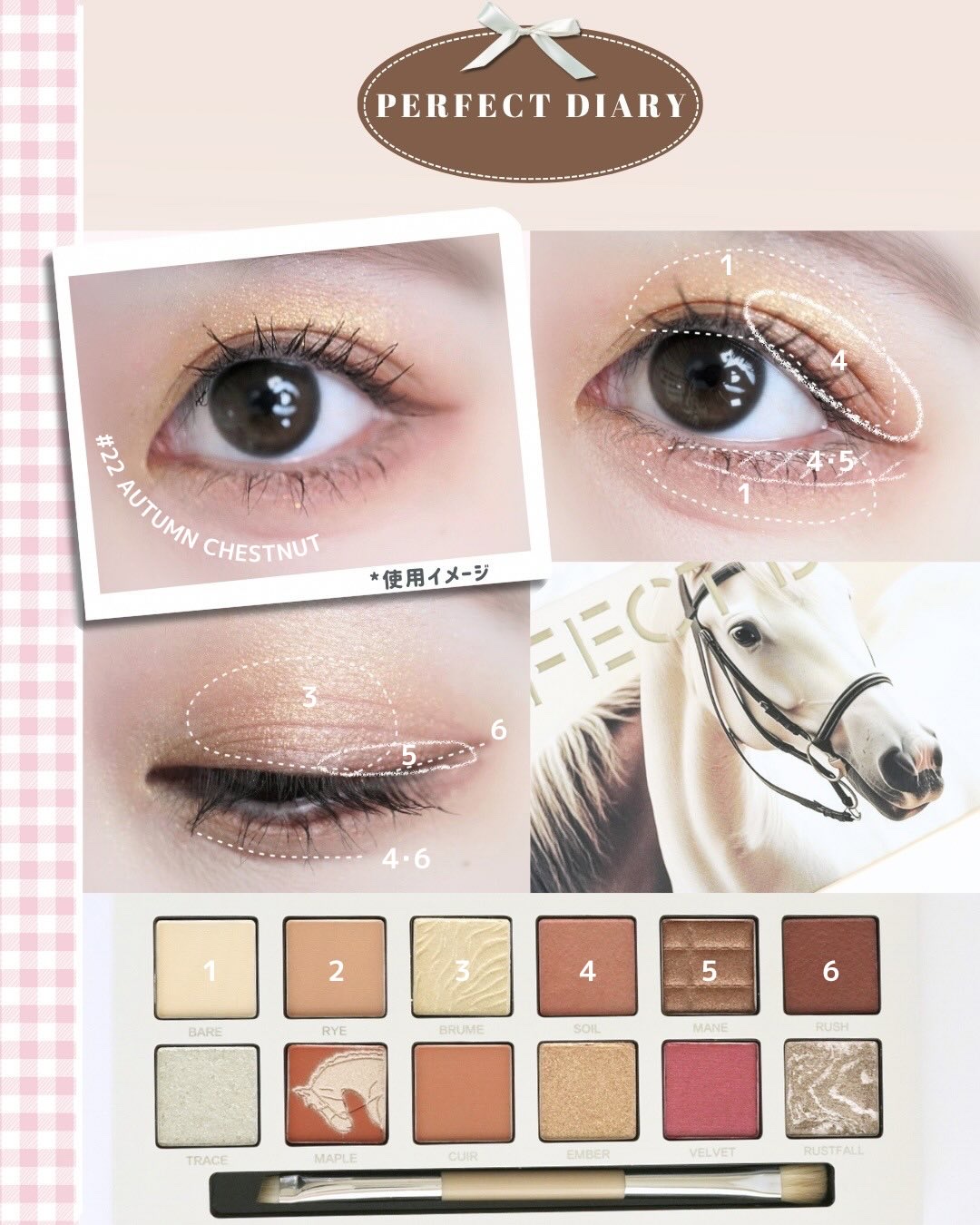 エクスプローラ12色 動物アイシャドウパレット オータムチェスナット/PERFECT DIARY/アイシャドウパレットを使ったクチコミ（2枚目）