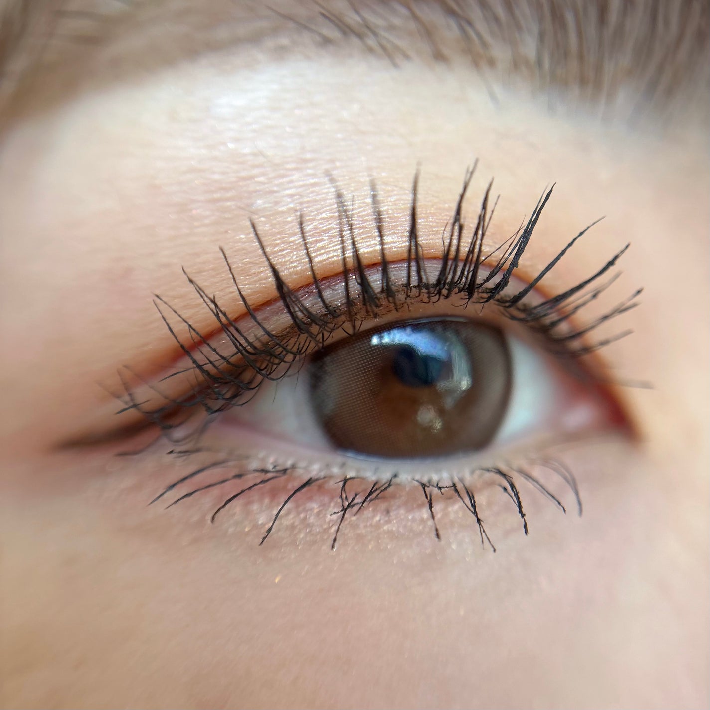 ハンオールフィックスマスカラ/rom&nd/マスカラを使ったクチコミ(4枚目)