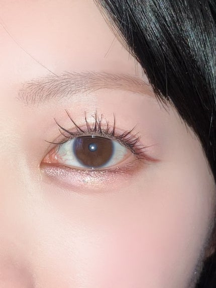 プロタージュアイパレット/too cool for school/アイシャドウパレットを使ったクチコミ(2枚目)