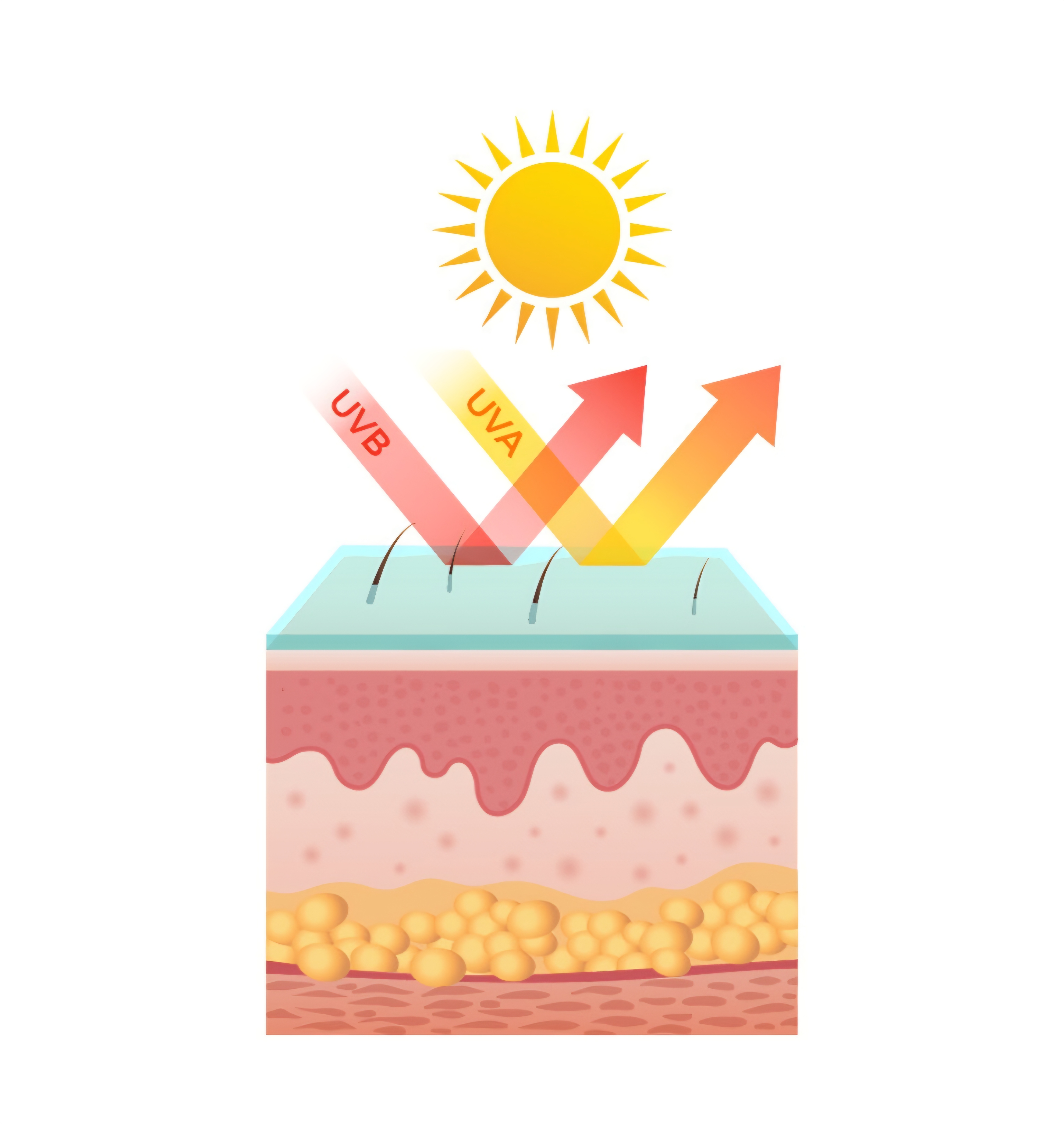  ホワイトトマト ACE 1box 30包/ChunhoNcare/美容サプリメントを使ったクチコミ（3枚目）