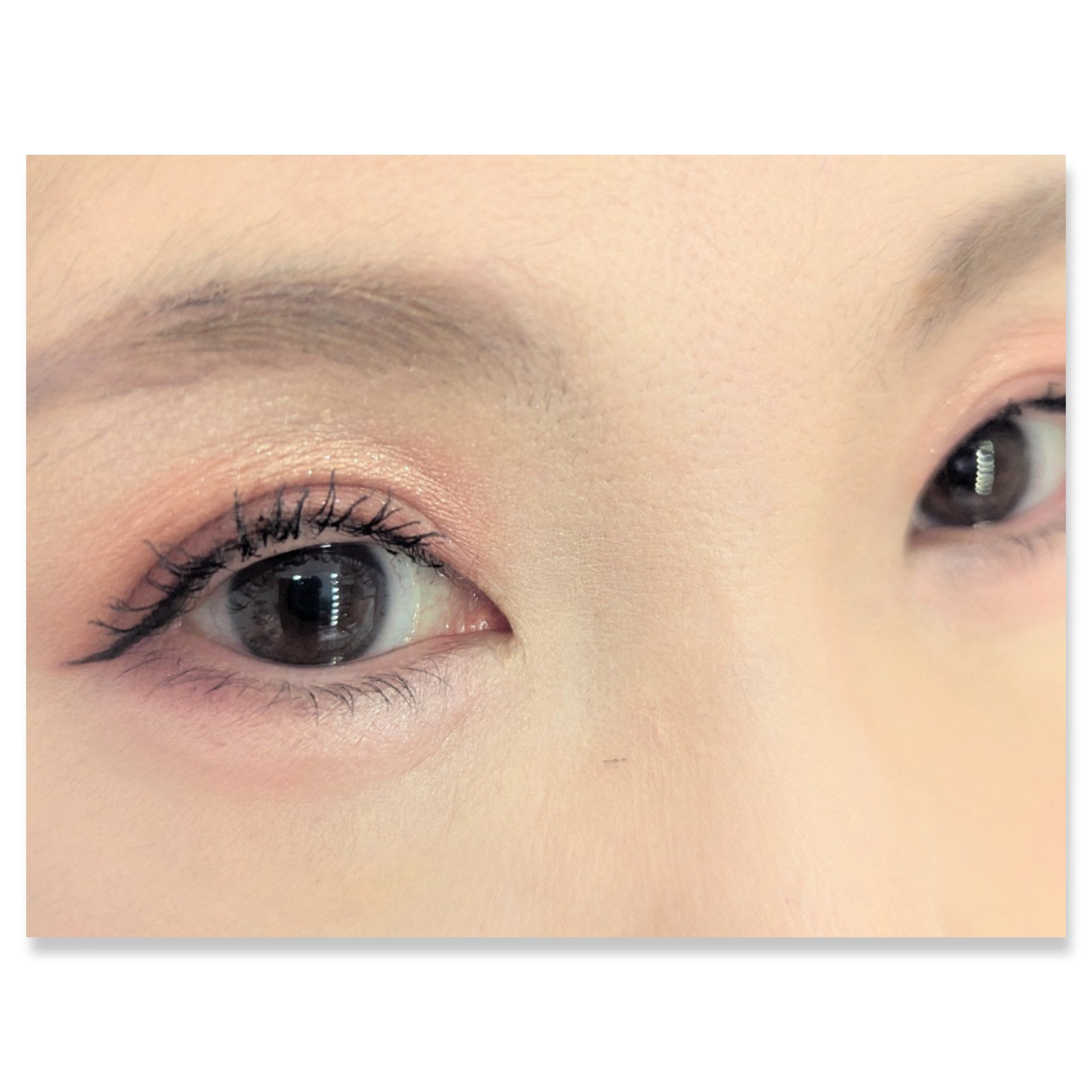 長相思シリーズ 9色アイシャドウパレット/CATKIN/アイシャドウパレットを使ったクチコミ（2枚目）