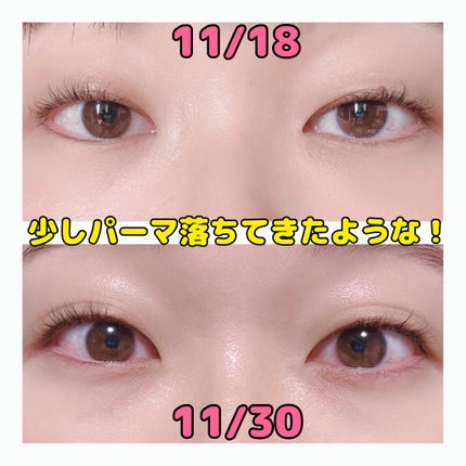 ラッシュジェリードロップ EX/MAJOLICA MAJORCA/まつげ美容液を使ったクチコミ(2枚目)