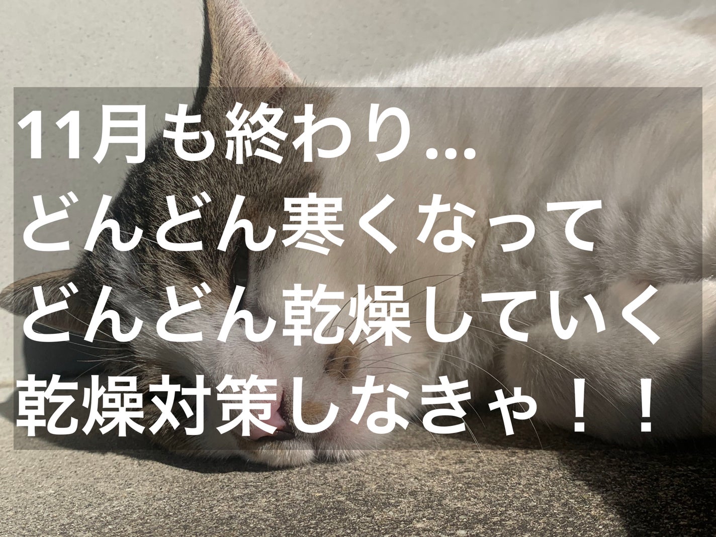 スキンローション ナイアシンアミド配合化粧水/S SELECT/化粧水を使ったクチコミ(1枚目)