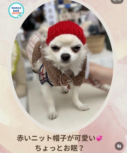 オルフェス BPS ピカチュウ・イーブイ デザイン/ALFACE+/シートマスク・パックを使ったクチコミ(8枚目)