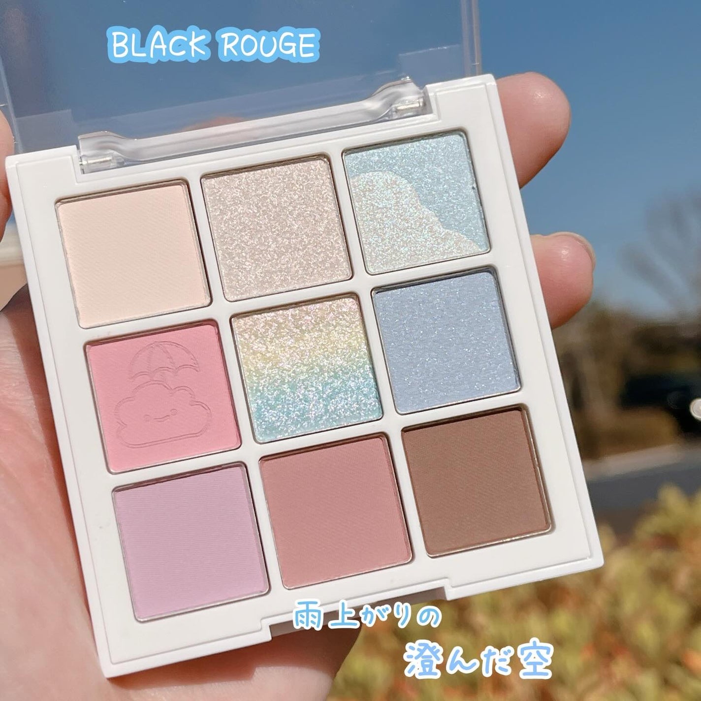 カラーレーションムードパレット/BLACK ROUGE/アイシャドウパレットを使ったクチコミ(1枚目)