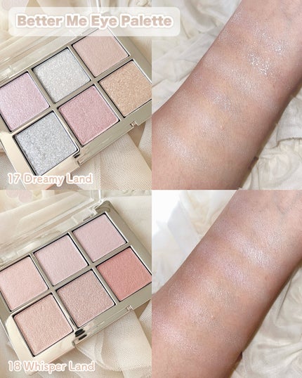 ベターミーアイパレット/2aN/マルチパレットを使ったクチコミ(2枚目)