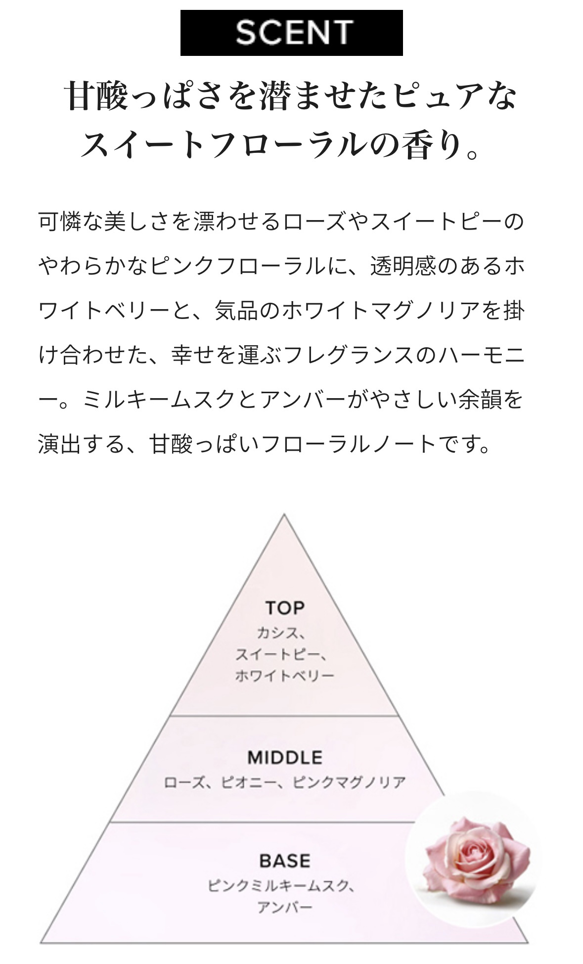 リファミルクプロテインアウトバストリートメントピンク/ReFa/アウトバストリートメントを使ったクチコミ（2枚目）