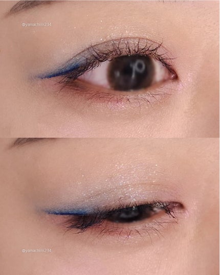 エクスプローラ12色 動物アイシャドウパレット/PERFECT DIARY/アイシャドウパレットを使ったクチコミ(2枚目)