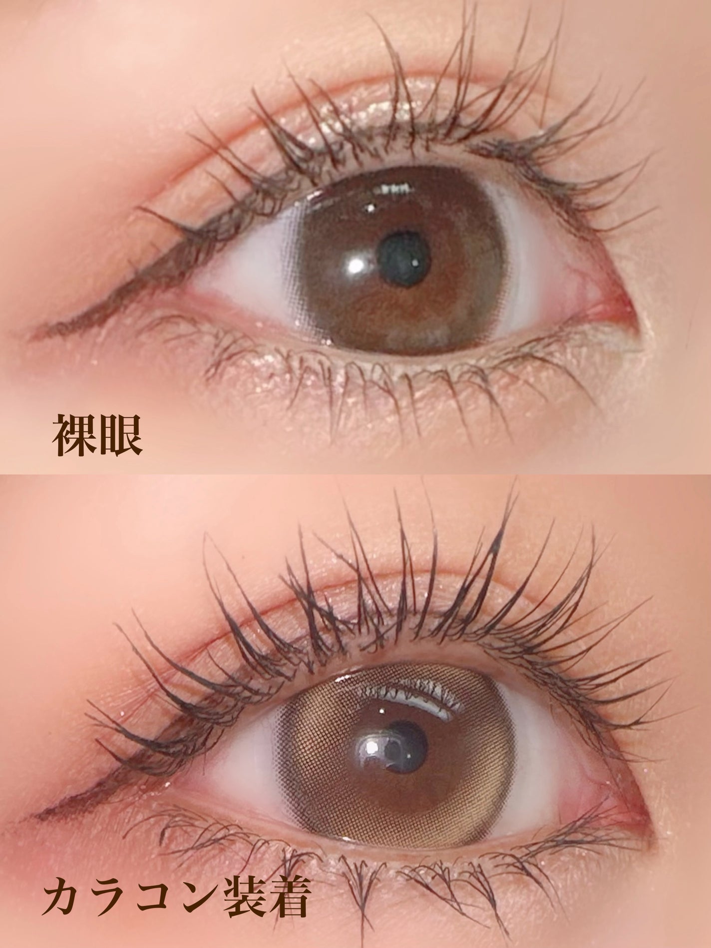 lunar/meilly/ワンデー(1DAY)カラコンを使ったクチコミ(3枚目)