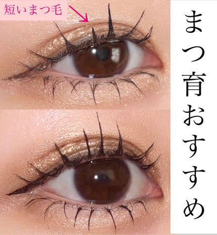 スカルプD アイラッシュセラム プレミアム/アンファー(スカルプD)/まつげ美容液を使ったクチコミ(1枚目)