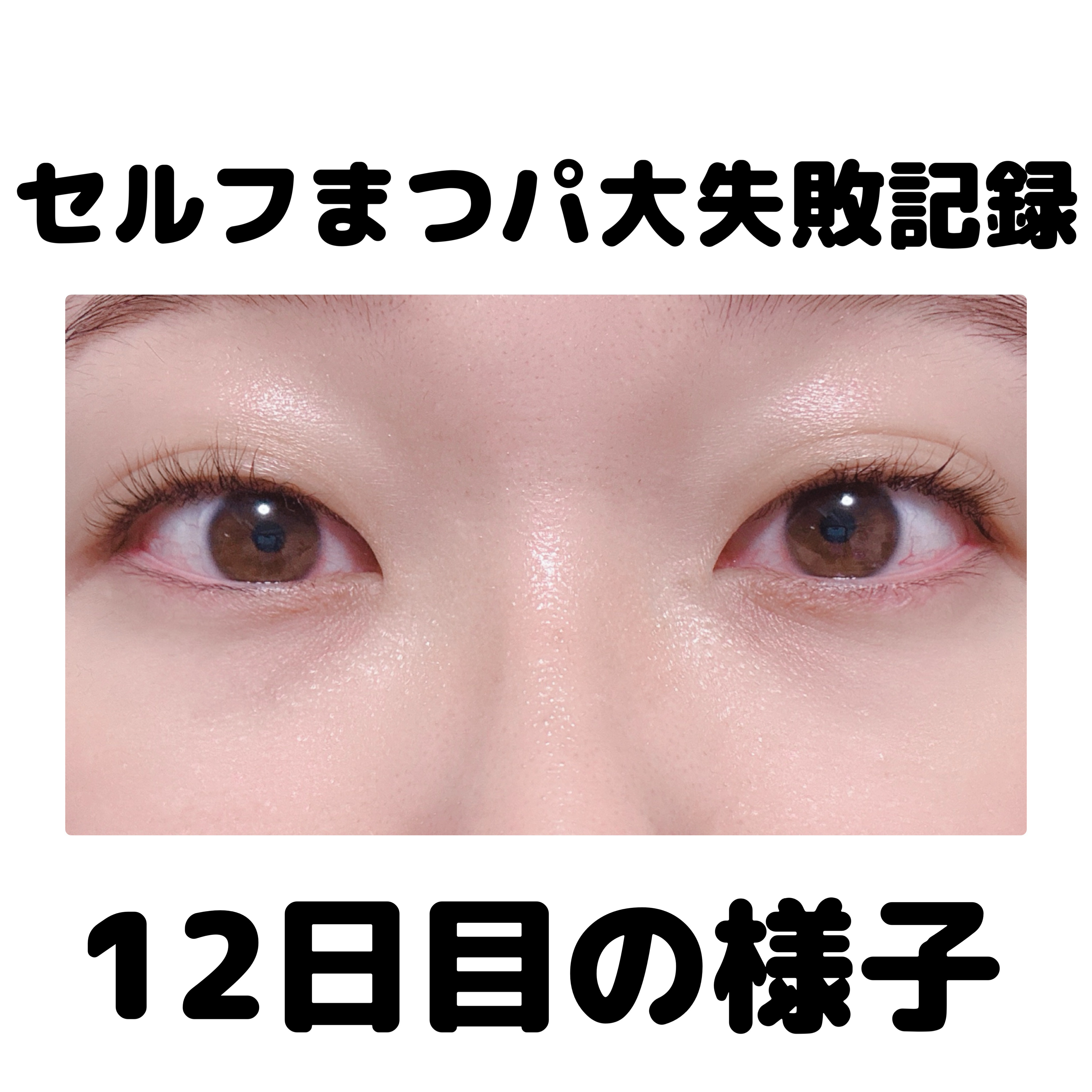 ラッシュジェリードロップ　ＥＸ/MAJOLICA MAJORCA/まつげ美容液を使ったクチコミ（1枚目）