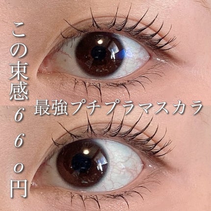 グロウコートマスカラ/CEZANNE/マスカラを使ったクチコミ(1枚目)