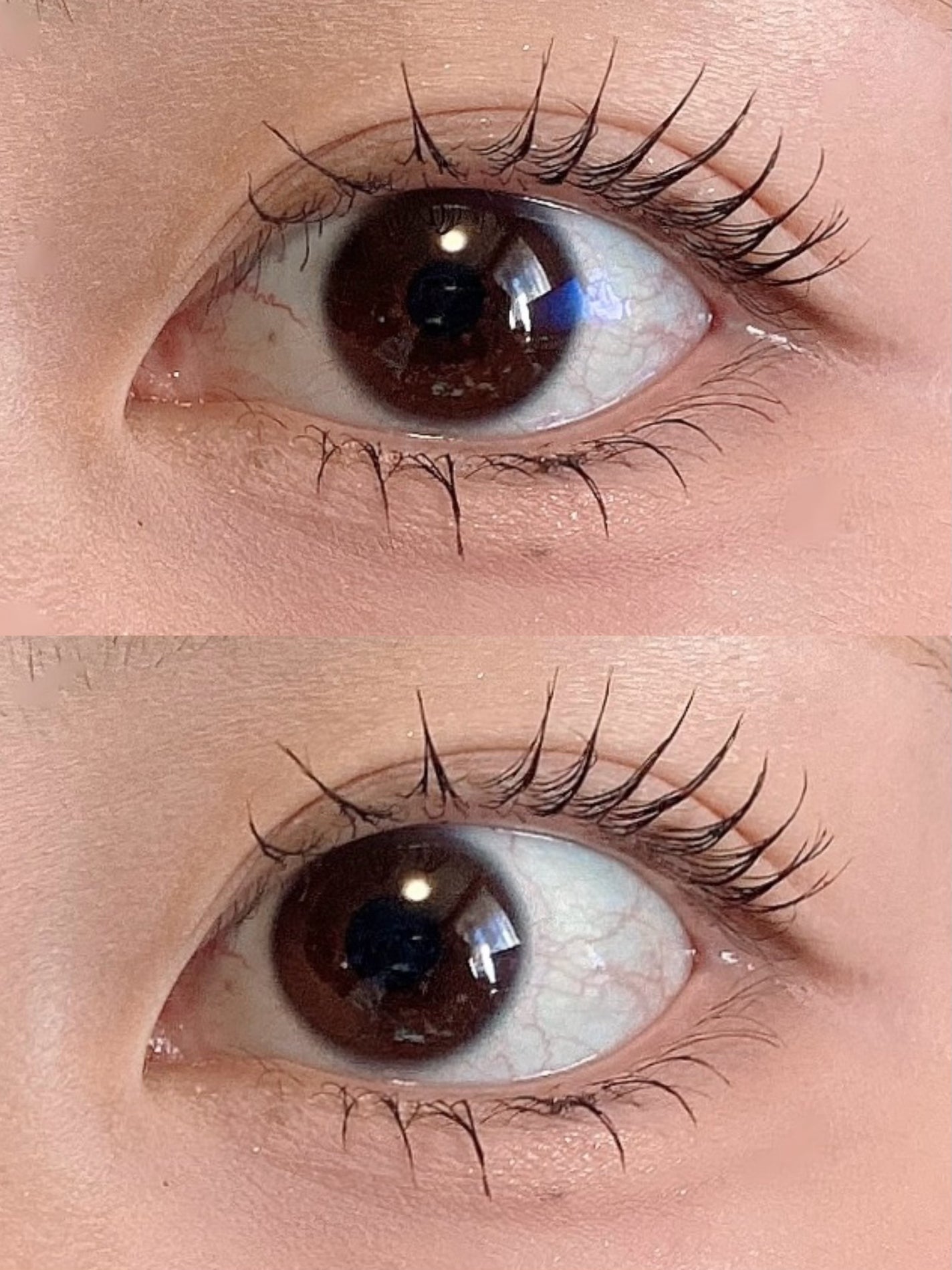 グロウコートマスカラ/CEZANNE/マスカラを使ったクチコミ(7枚目)