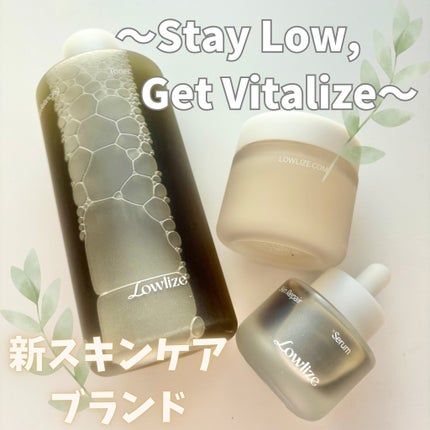 ファーストバランシングトナー/Lowlize/化粧水を使ったクチコミ(1枚目)