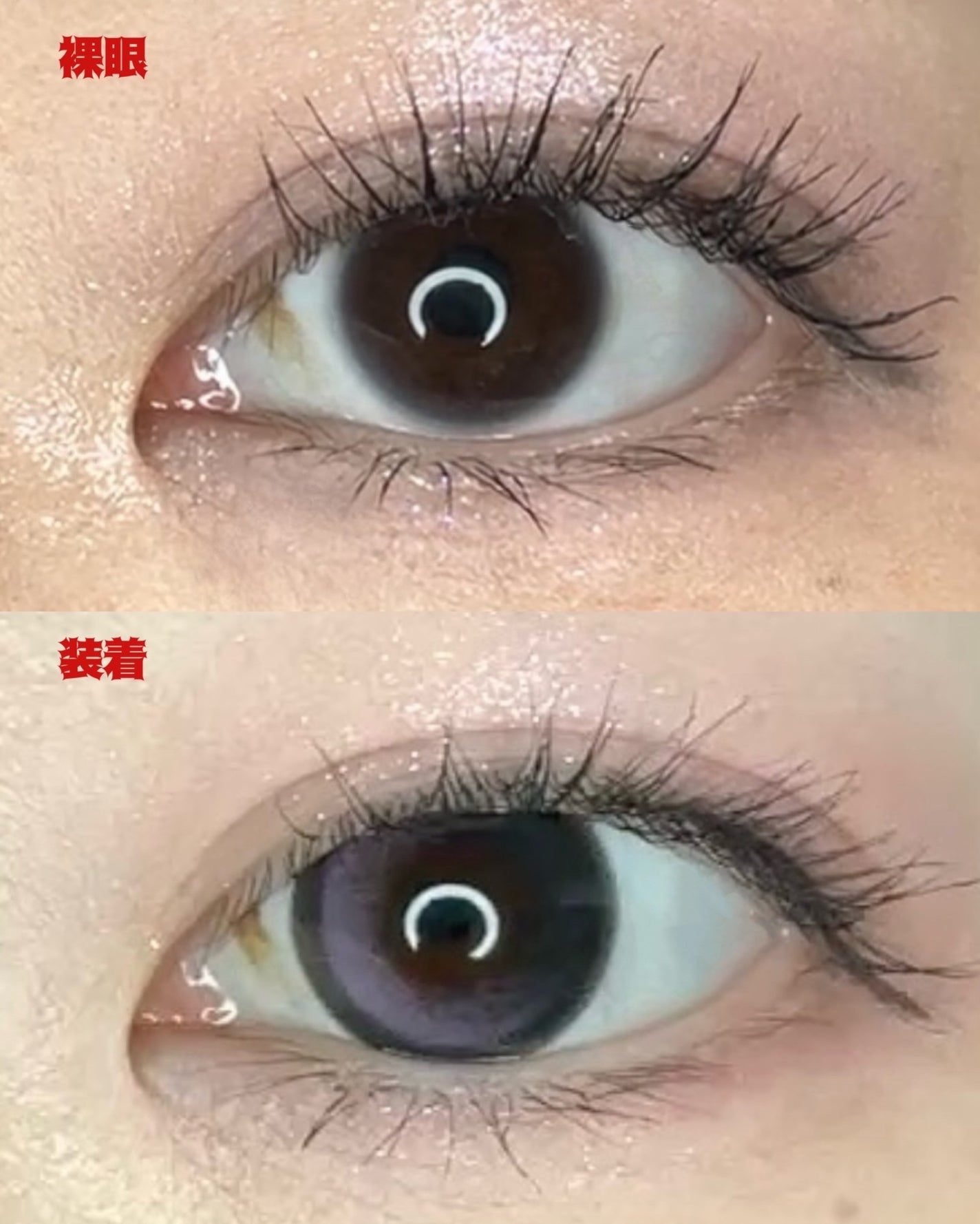 Big Glowy 1day/OLENS/ワンデー(1DAY)カラコンを使ったクチコミ(4枚目)