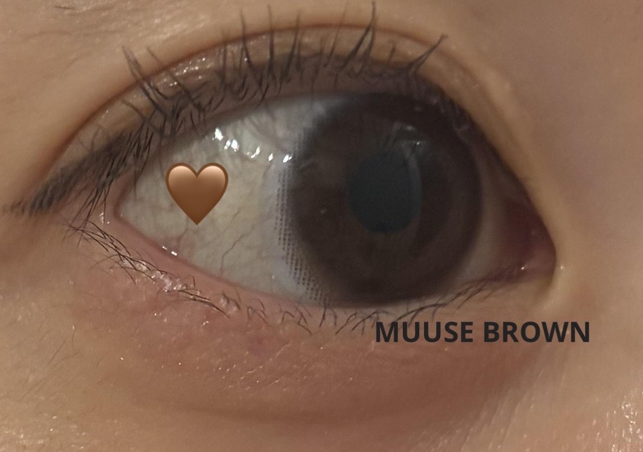 ReVIA CIRCLE 1day/ReVIA/ワンデー（１DAY）カラコンを使ったクチコミ（2枚目）