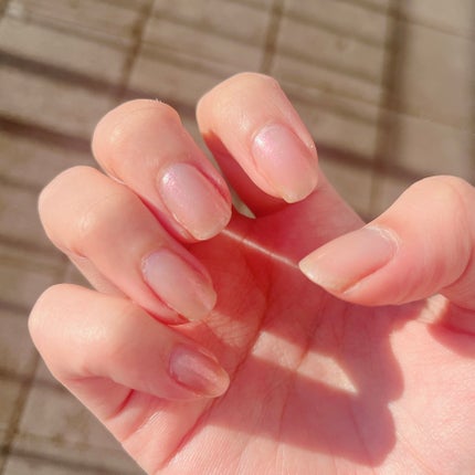 ネイルホリック リミテッドカラー Choose Your Pink WT068 シフォンレース/ネイルホリック/マニキュアの画像