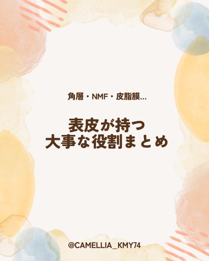 椿 on LIPS 「角層・NMF・皮脂膜…表皮が持つ大事な役割まとめ🌿⸻肌の一番外..」(1枚目)