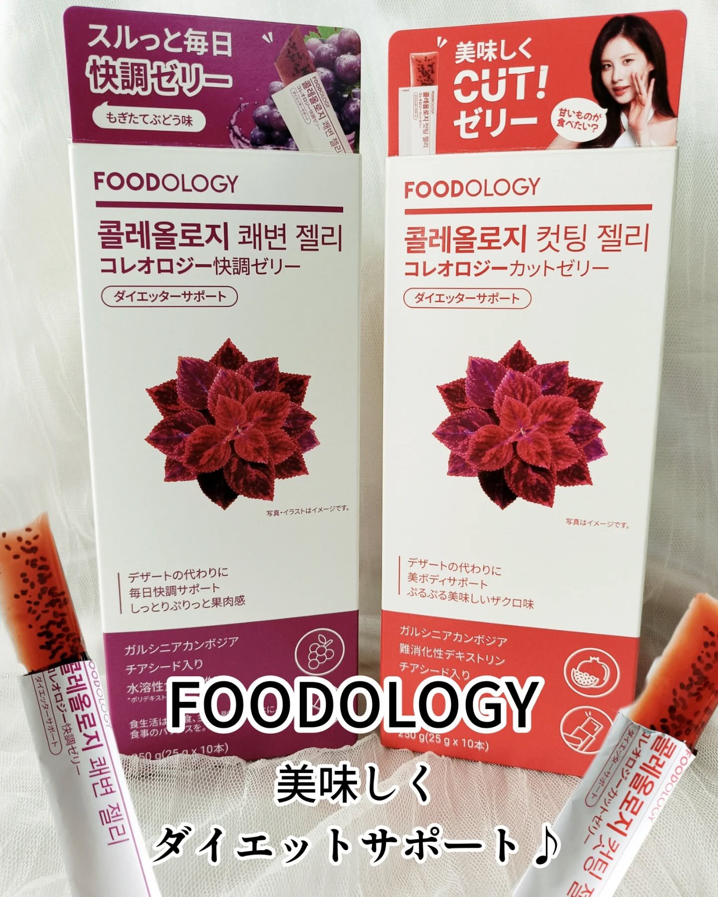 コレオロジーカットゼリー/FOODOLOGY/食品を使ったクチコミ（1枚目）